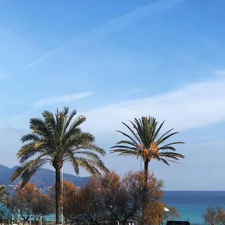 Vistas Al Mar Y A 50 Metros De La Playa * Cala Millor (Mallorca)